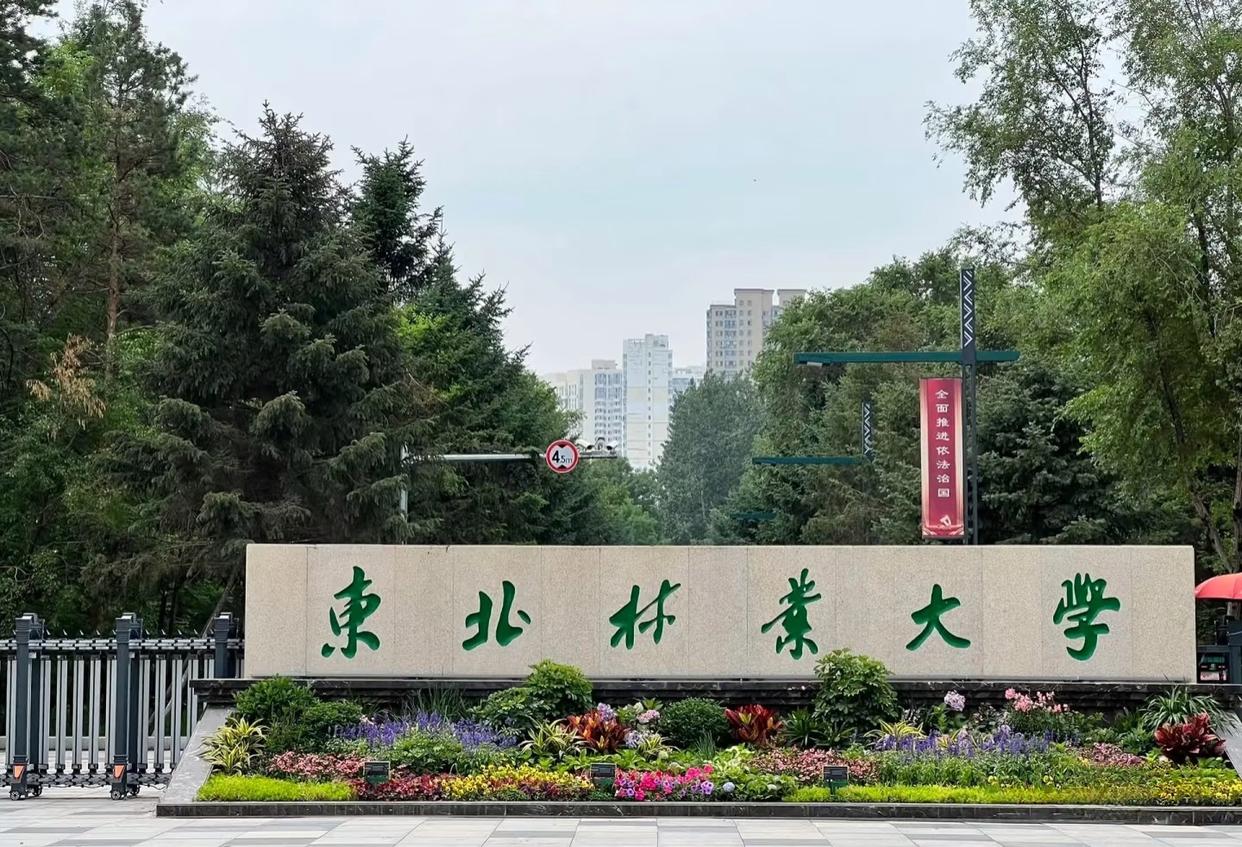 东北林业大学.jpeg