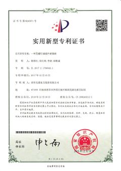 ZL 2017 2 1756543.1